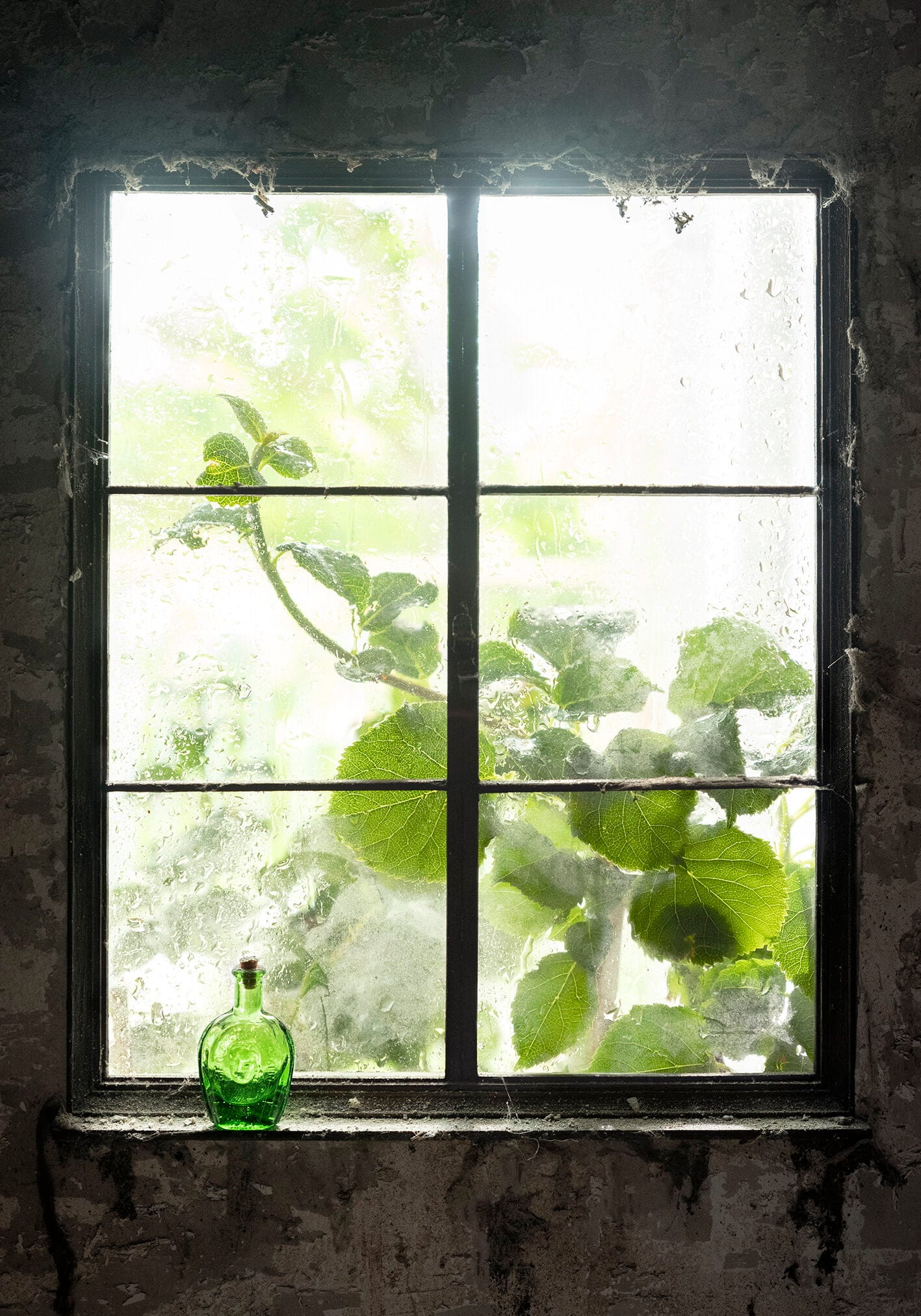 Window 3 (Bottle)