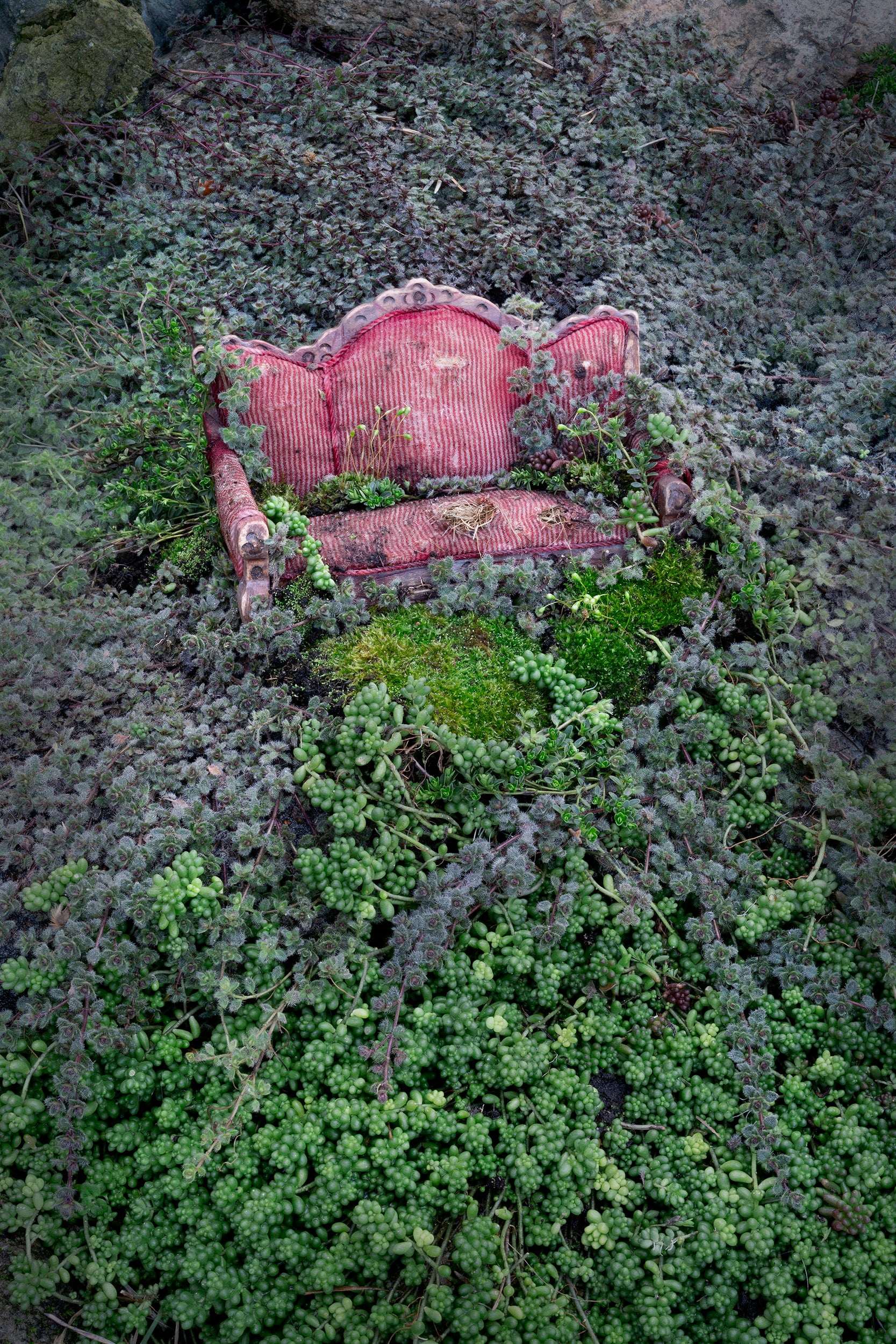 Divan 2019, 75 × 50 cm