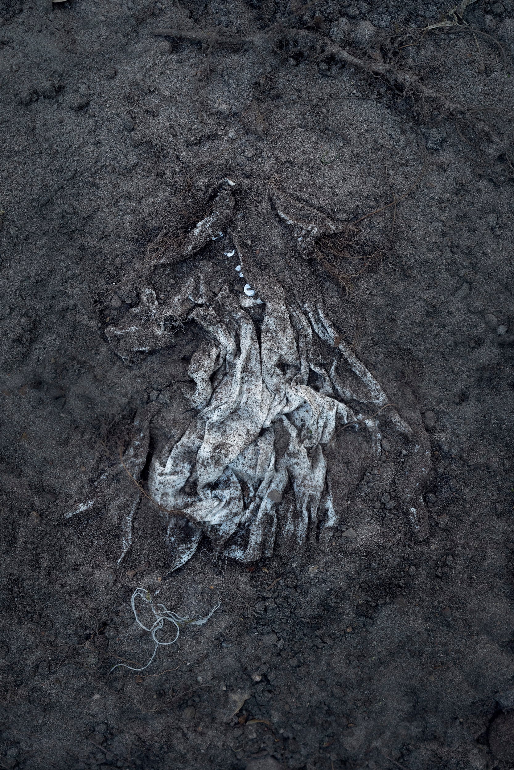 Dress 2019, 75 × 50 cm