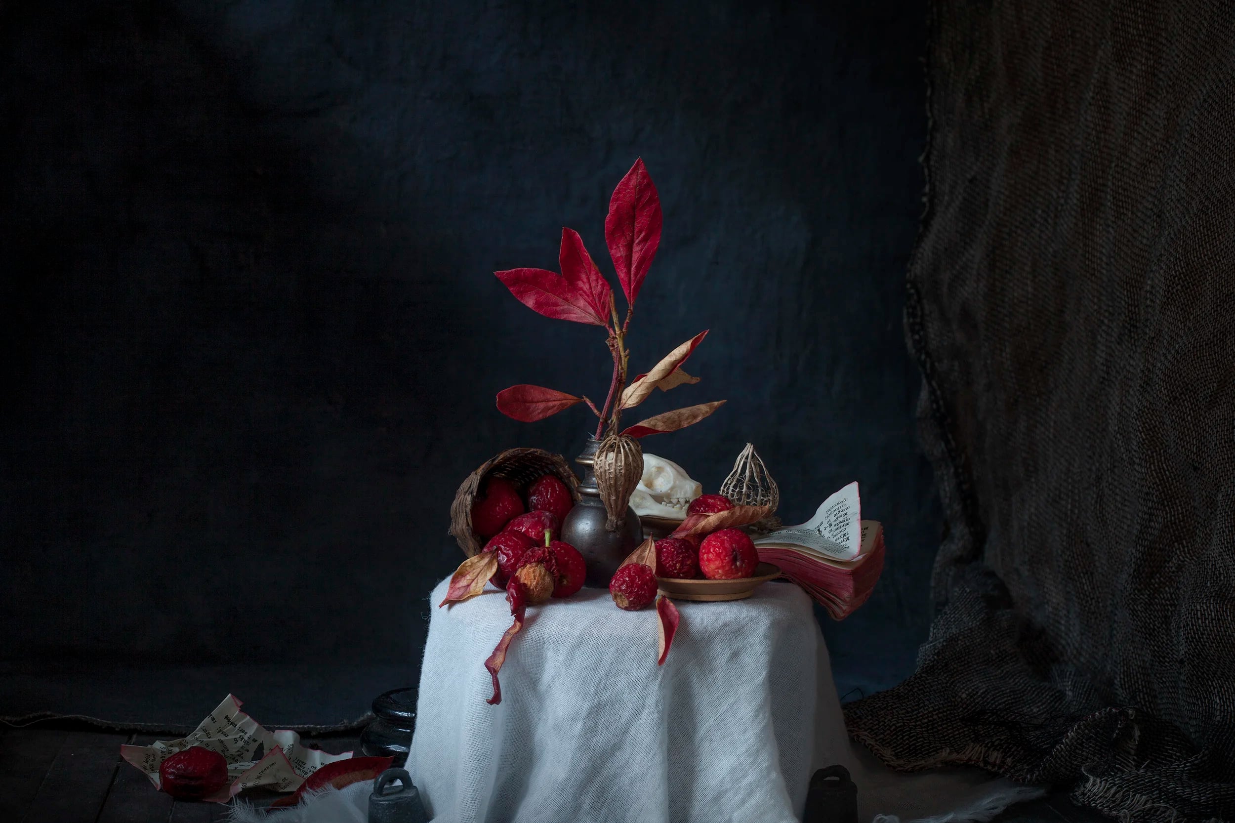 Vanitas X 2017, 100 × 66 cm / 45 × 30 cm