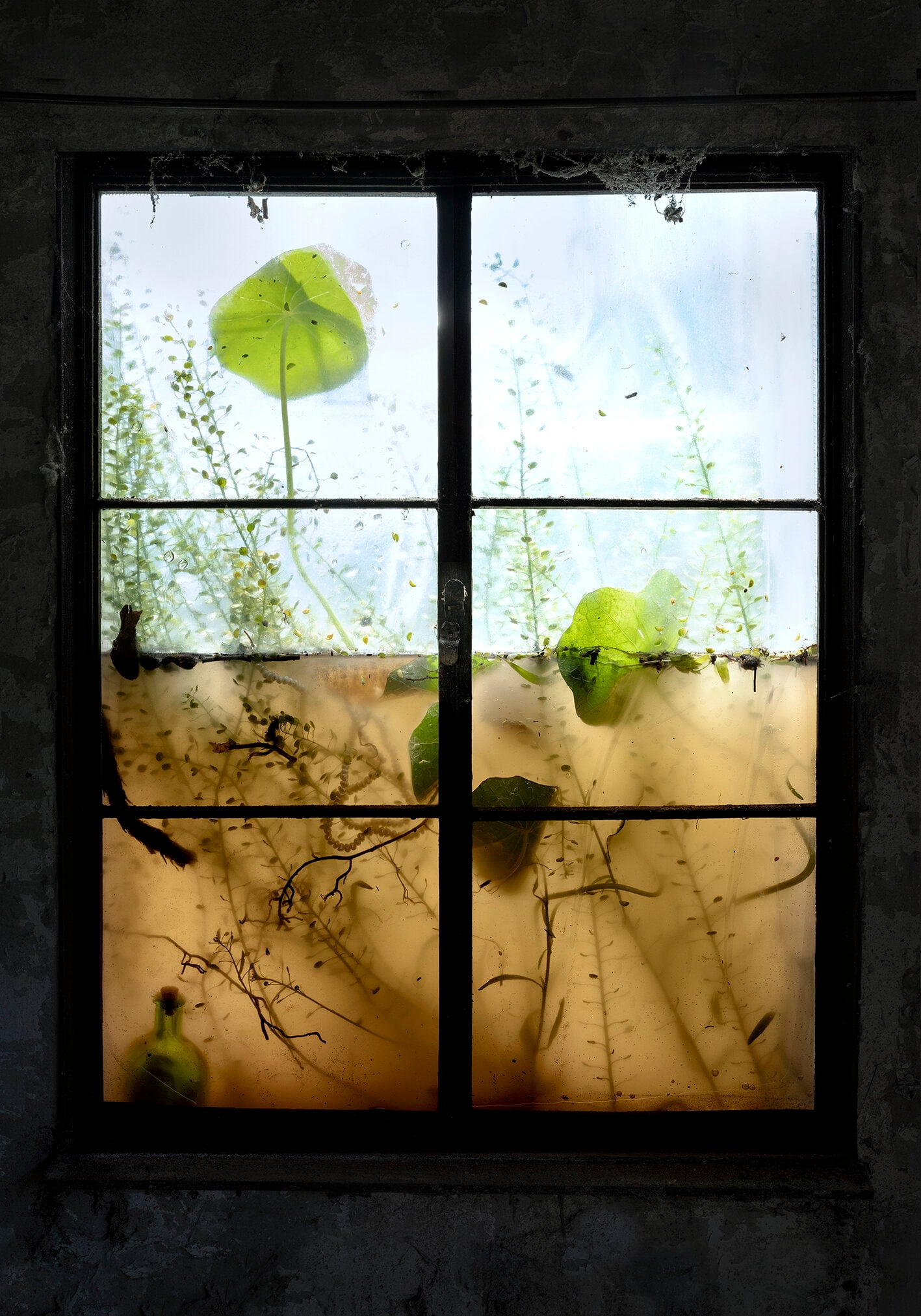 Window 5 (Necklace) 2020