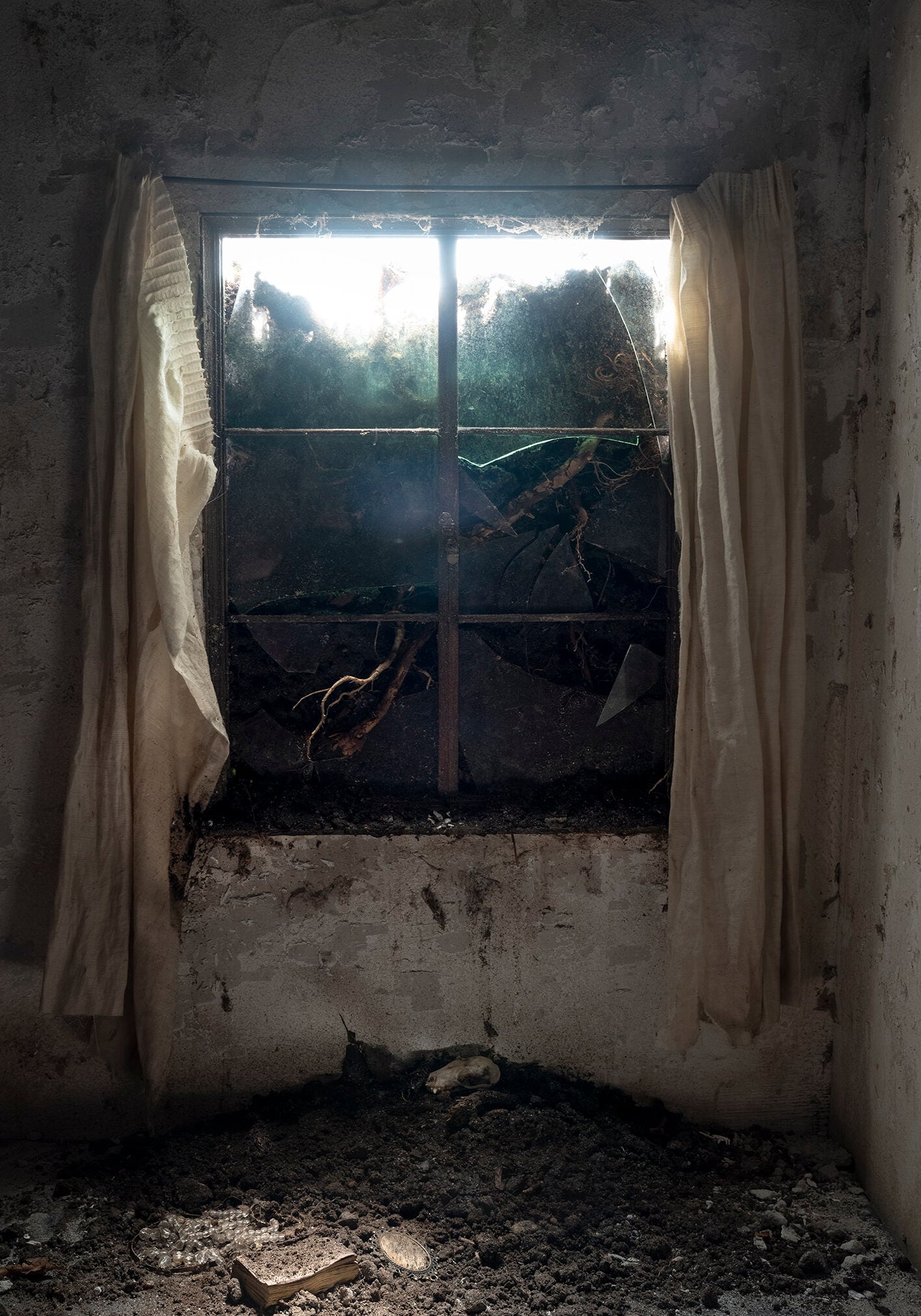 Window 1 (Skull) 2020