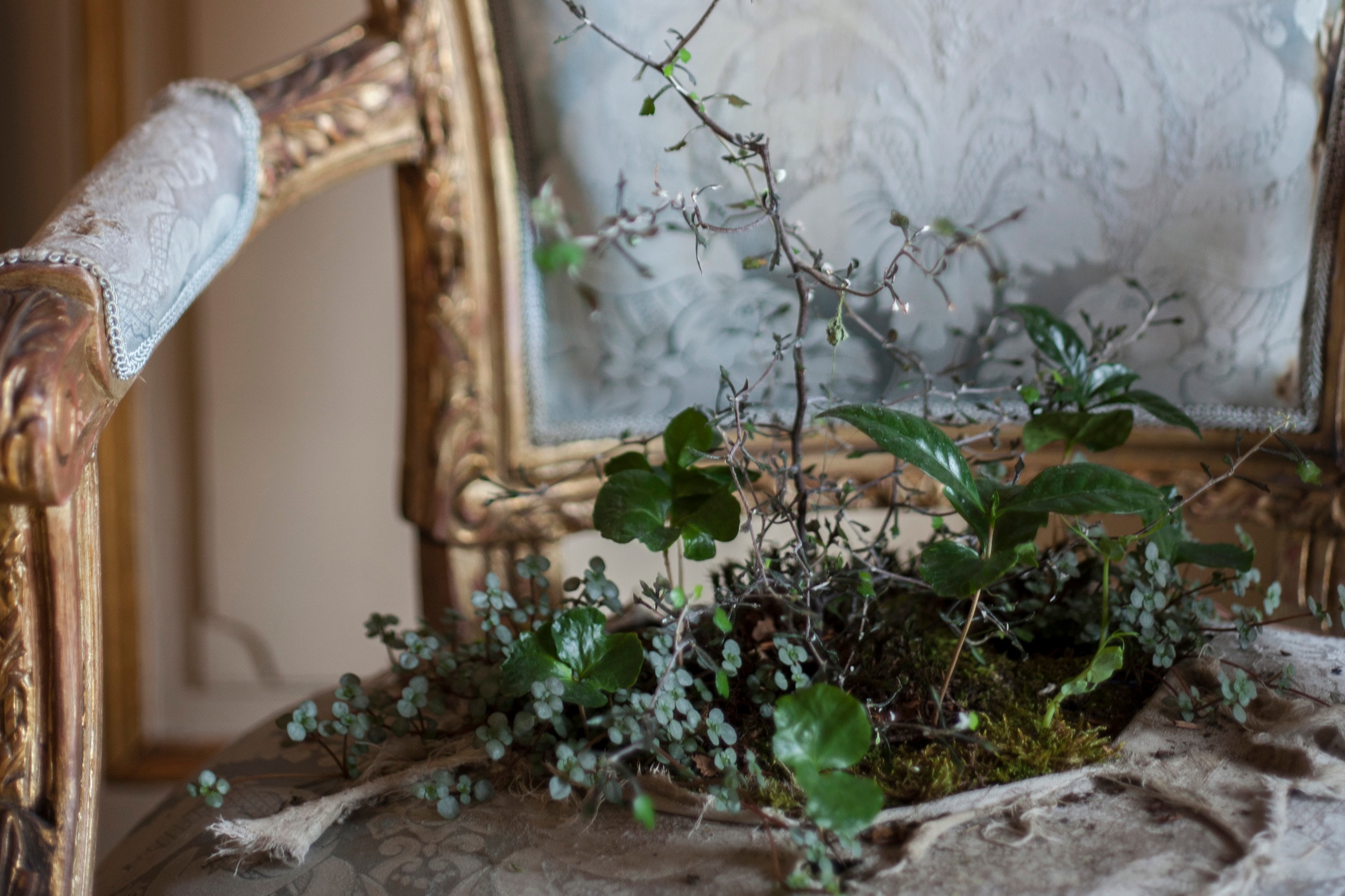 Please Wait Here 2017 — installation view